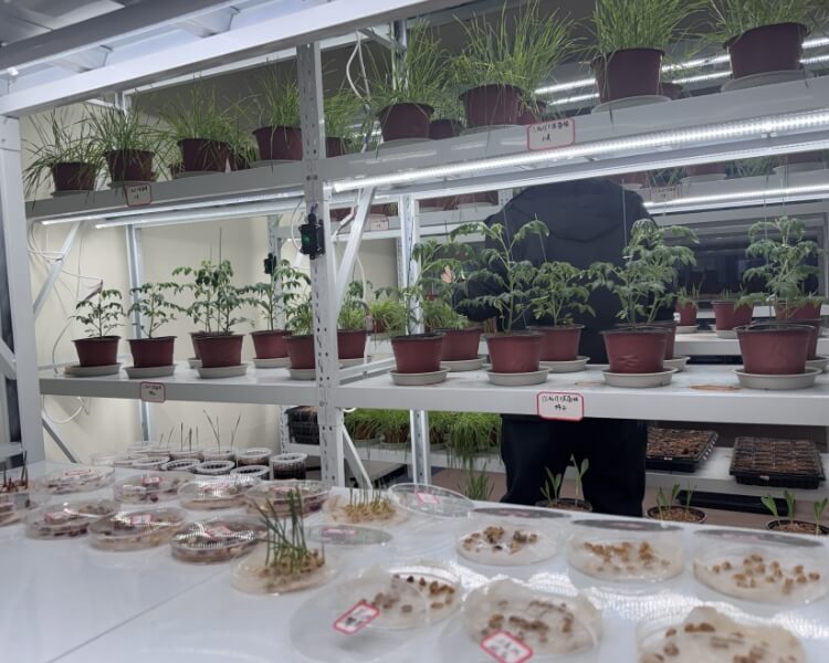 Verified Full-Cycle Nutrition Plans: Empirical evidence of efficacy across all fertilizer categories from rooting to fruit expansion.