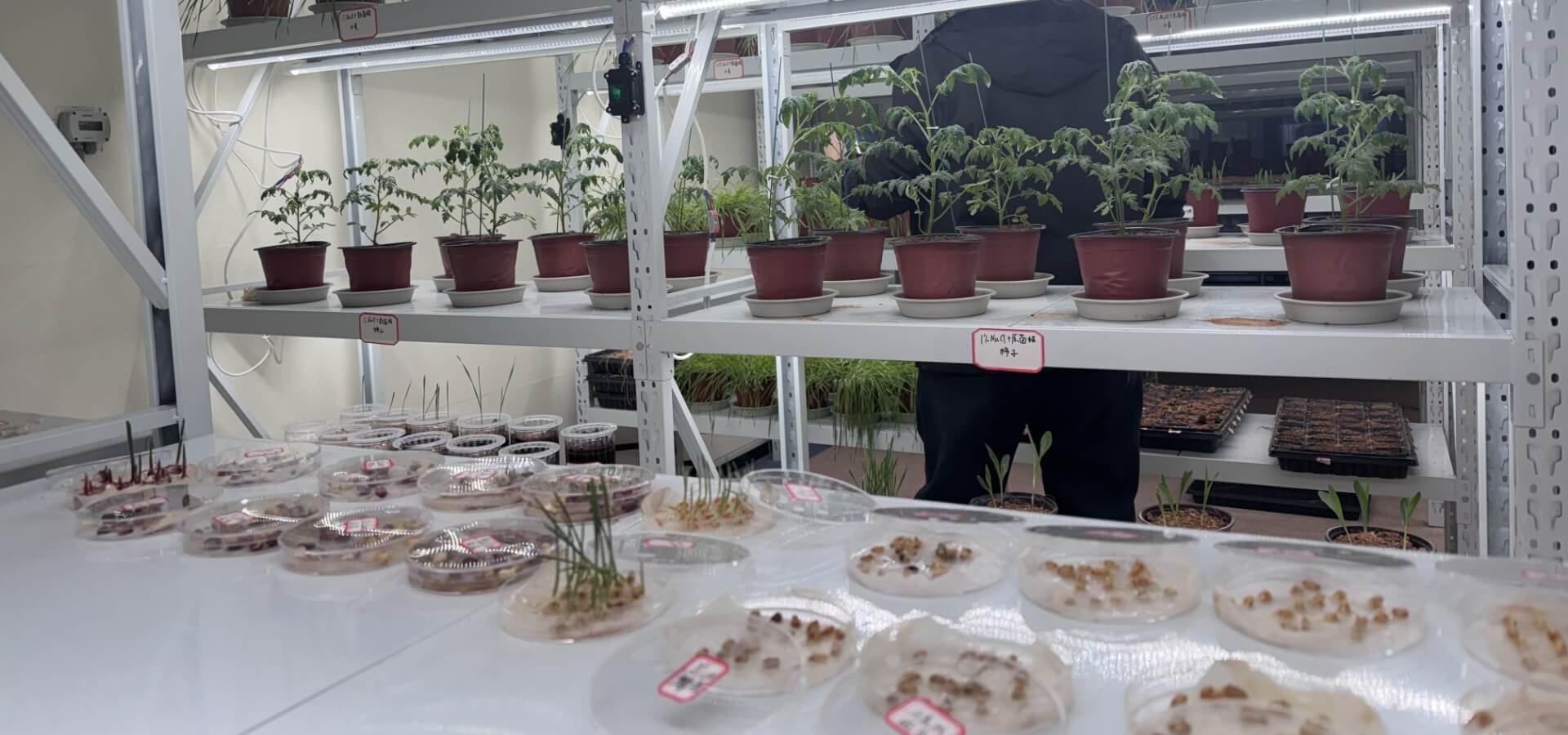 Verified Full-Cycle Nutrition Plans: Empirical evidence of efficacy across all fertilizer categories from rooting to fruit expansion.