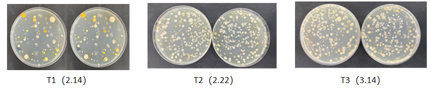 T1 T2 and T3 microbial colony-counting agar plates