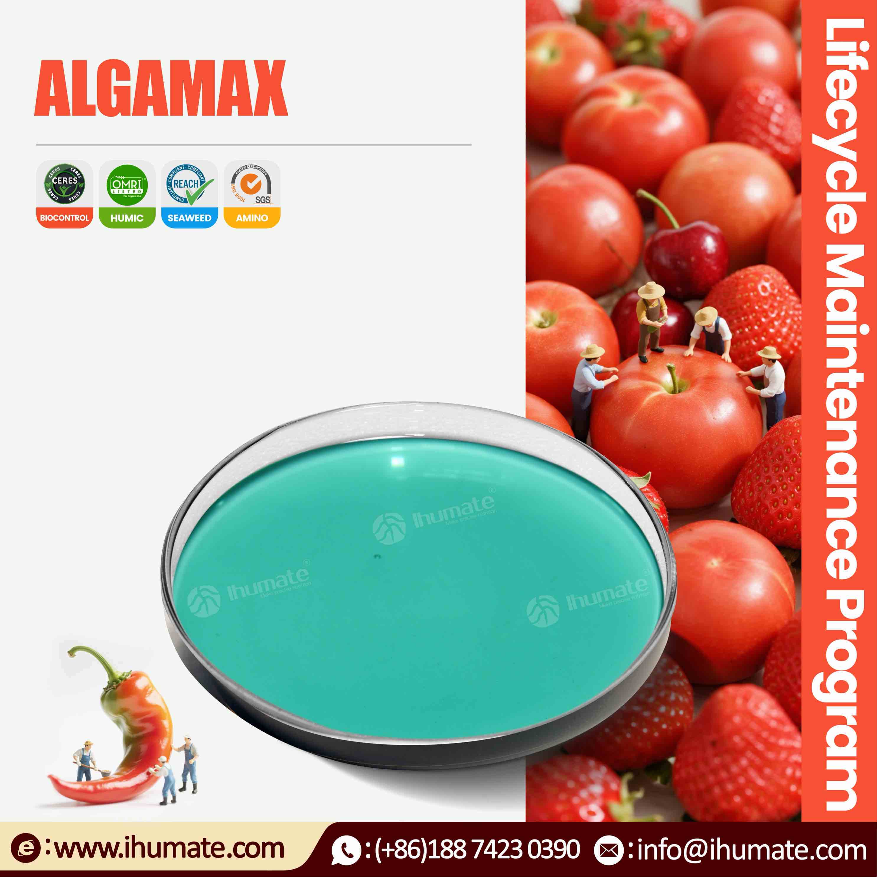 Ihumate ALGAMAX liquid seaweed extract infographic, showing the nutritional benefits of high alginic acid content
