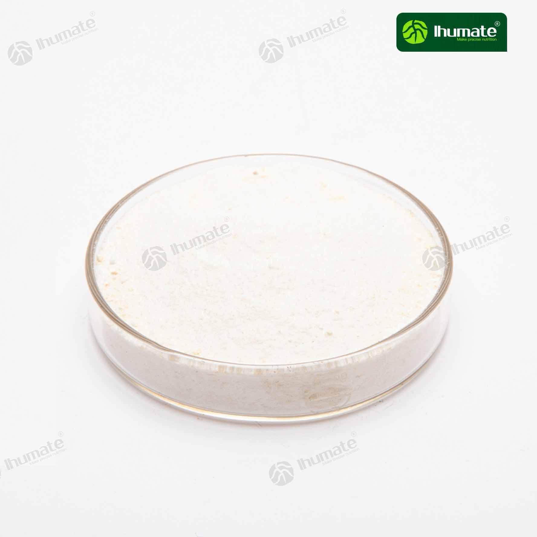 Front view of Ihumate compound amino acid powder, rich in 18 plant-required amino acids, effectively improves crop stress resistance