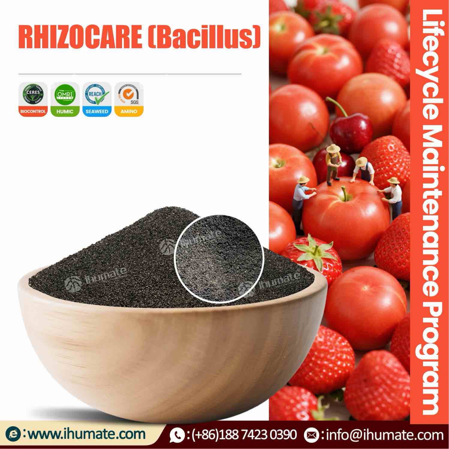 Ihumate Bacillus Potassium Fulvate Micro Granules Product Appearance Display