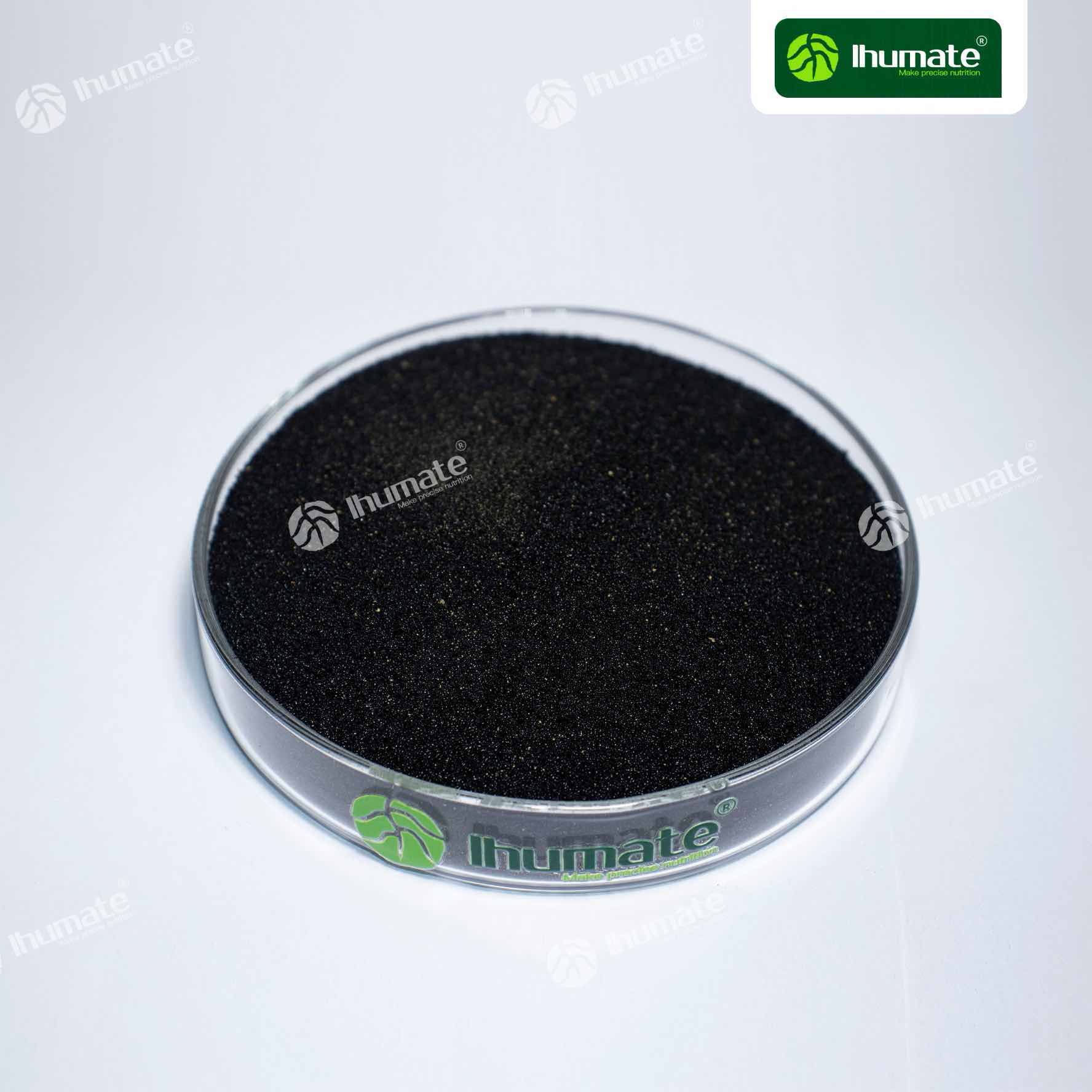 Ihumate Bacillus Potassium Fulvate Micro Granules Official Standard Photo