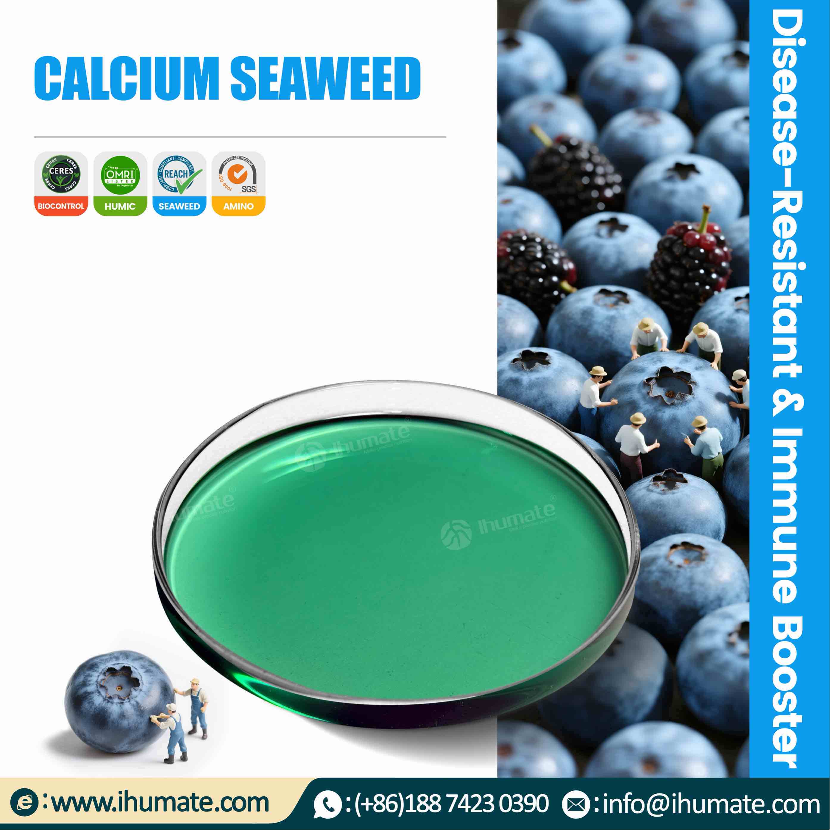 Ihumate calcium seaweed liquid fertilizer promotional image, showing dual-channel transport technology and calcium deficiency prevention principle