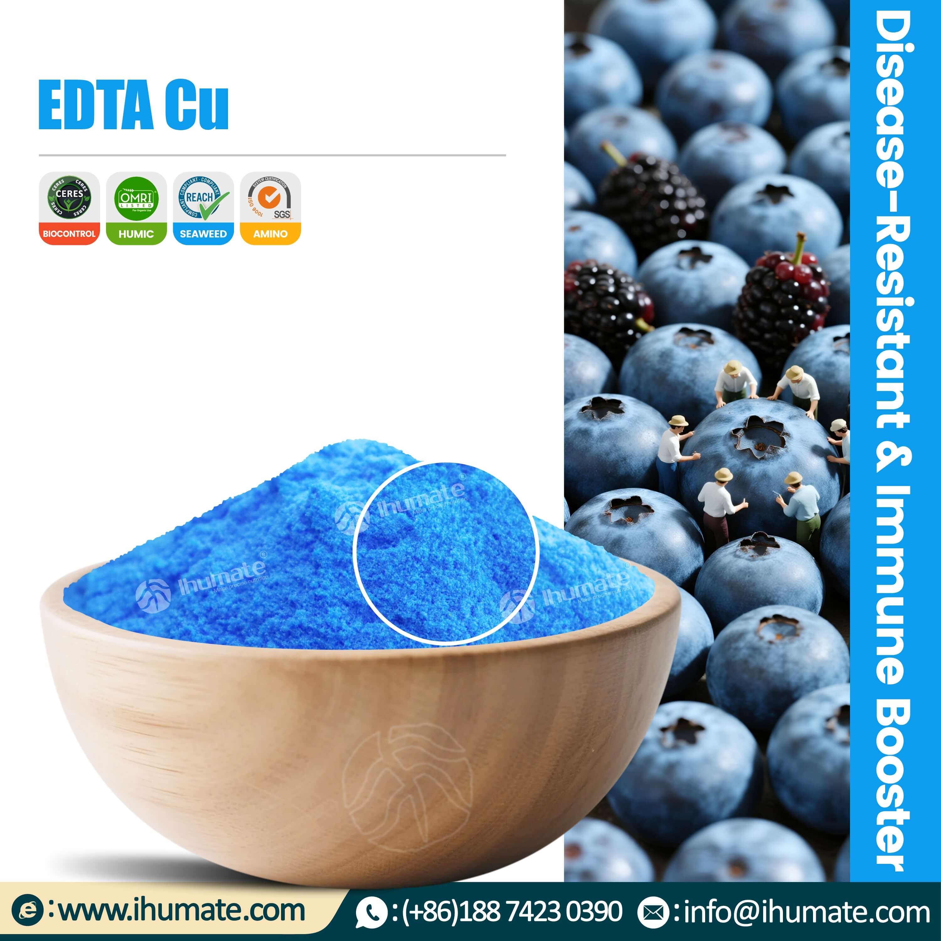 Bowl display of Ihumate EDTA Cu chelated copper, uniform particles, pure color, 100% chelated form, easily absorbed by plants