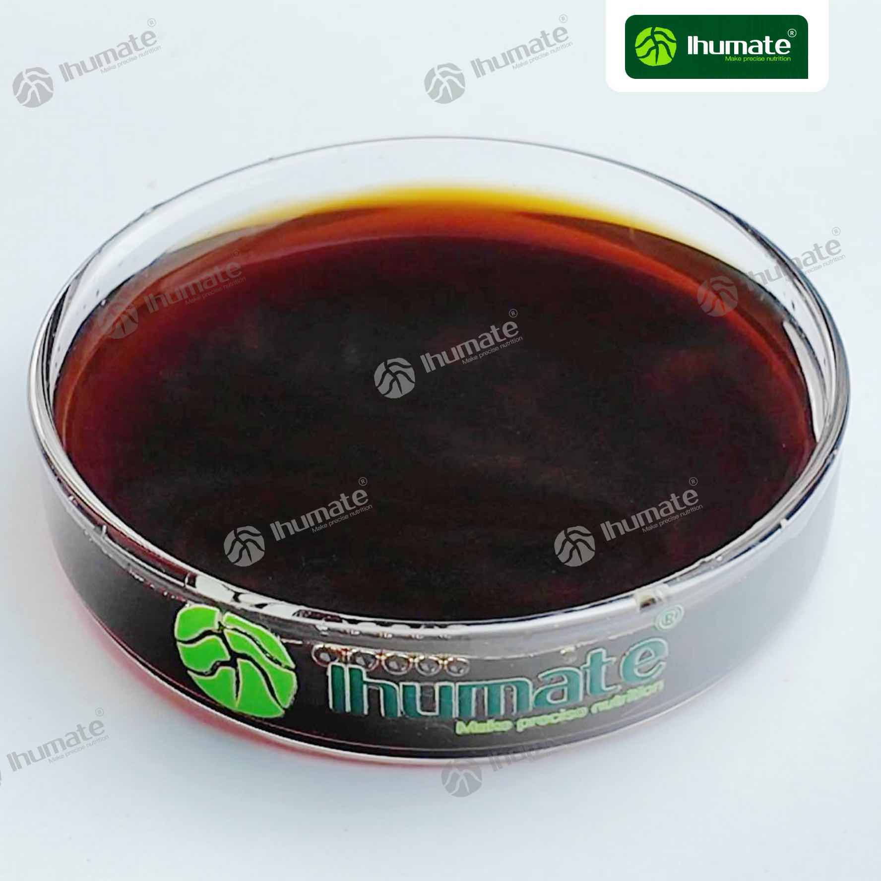 Enzymatic seaweed extract liquid product video cover showing brown liquid sample and water-soluble texture