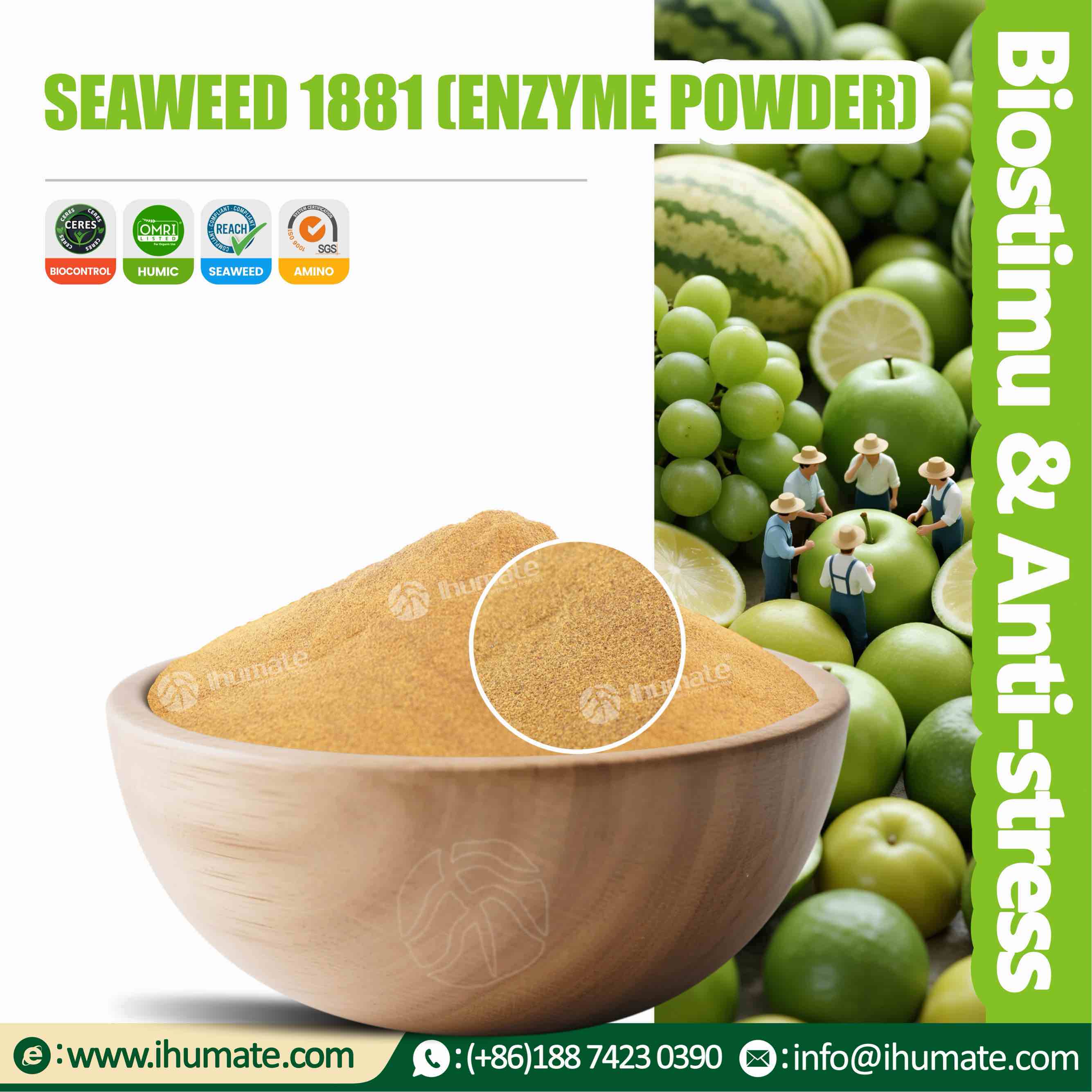 A bowl of Ihumate black seaweed extract powder showing fine texture and excellent solubility