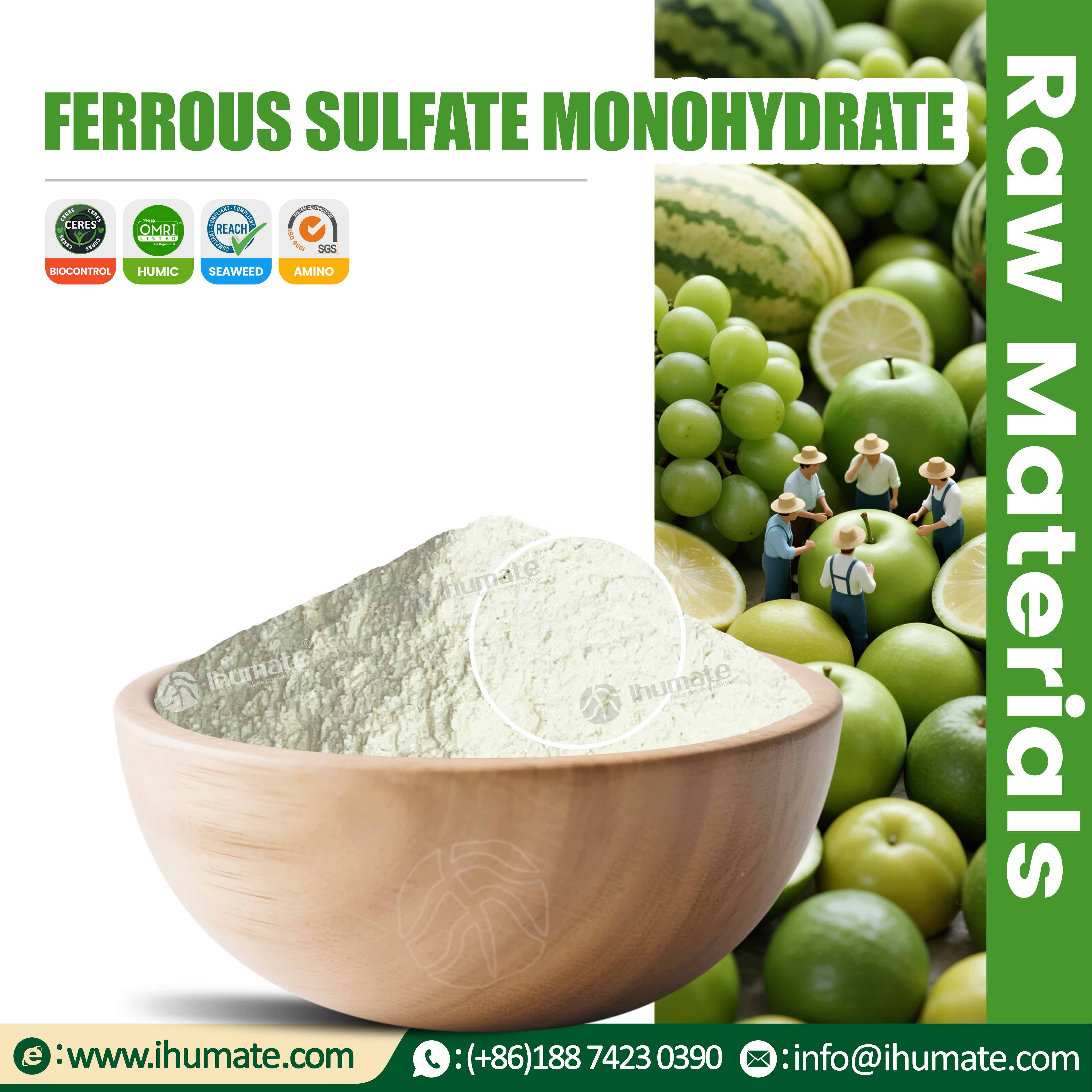 Ihumate premium agricultural Ferrous Sulfate Monohydrate pale green fully water-soluble iron sulfur fertilizer raw material