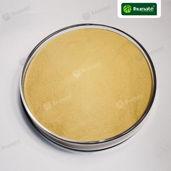 Front view of Ihumate Fish Protein Powder, containing 15% nitrogen and over 65% small molecular oligopeptides, rapidly increasing crop yield