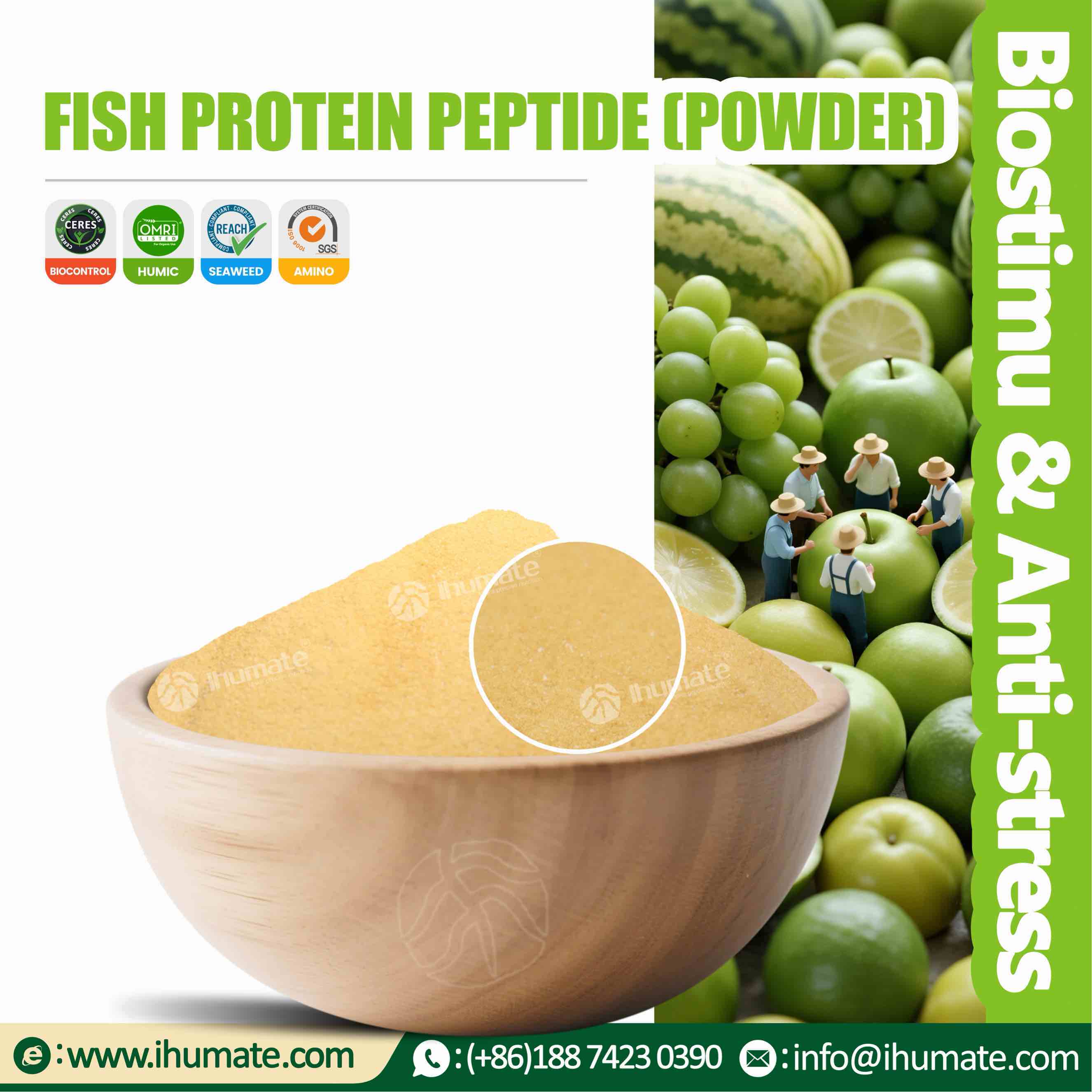 Bowl display of Ihumate Fish Protein Powder, light yellow fine powder, rich in 80% amino acids, naturally extracted from deep-sea fish sources