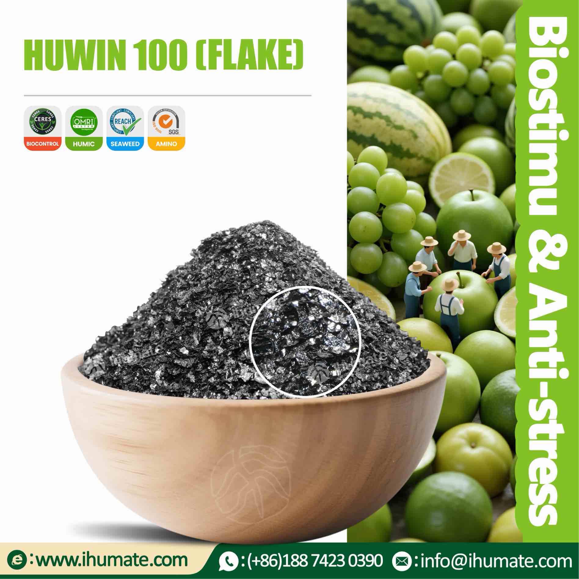 Bowl display of Ihumate HUWIN 100 potassium humate flakes, black shiny like a mirror, dust-free, high purity mineral source
