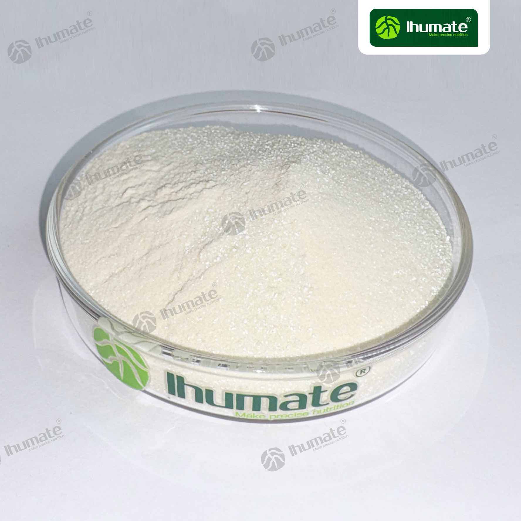 Ihumate Iron Glycinate powder petri dish close-up showing fine and uniform appearance
