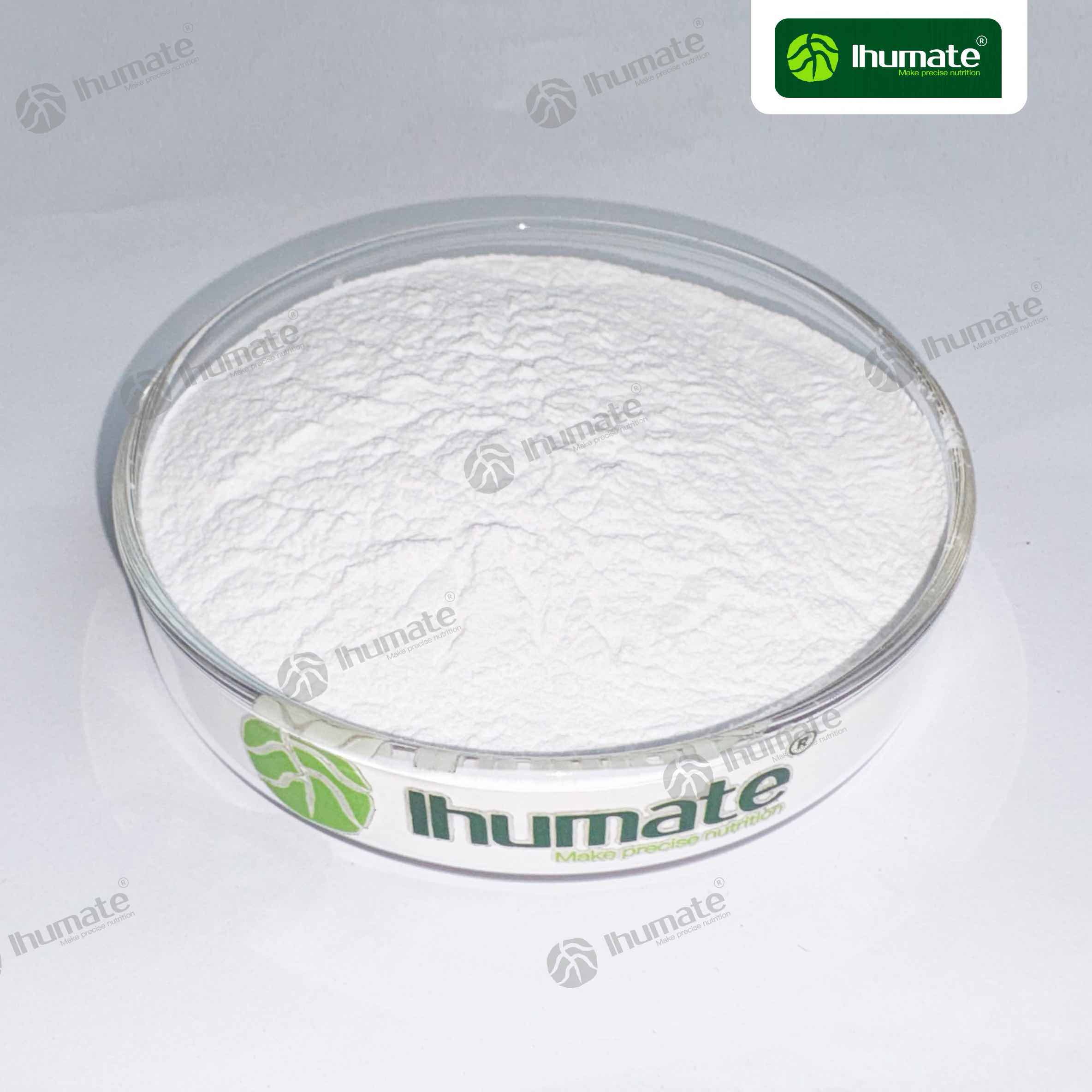 Ihumate Manganese Glycinate powder petri dish close-up showing fine and uniform appearance