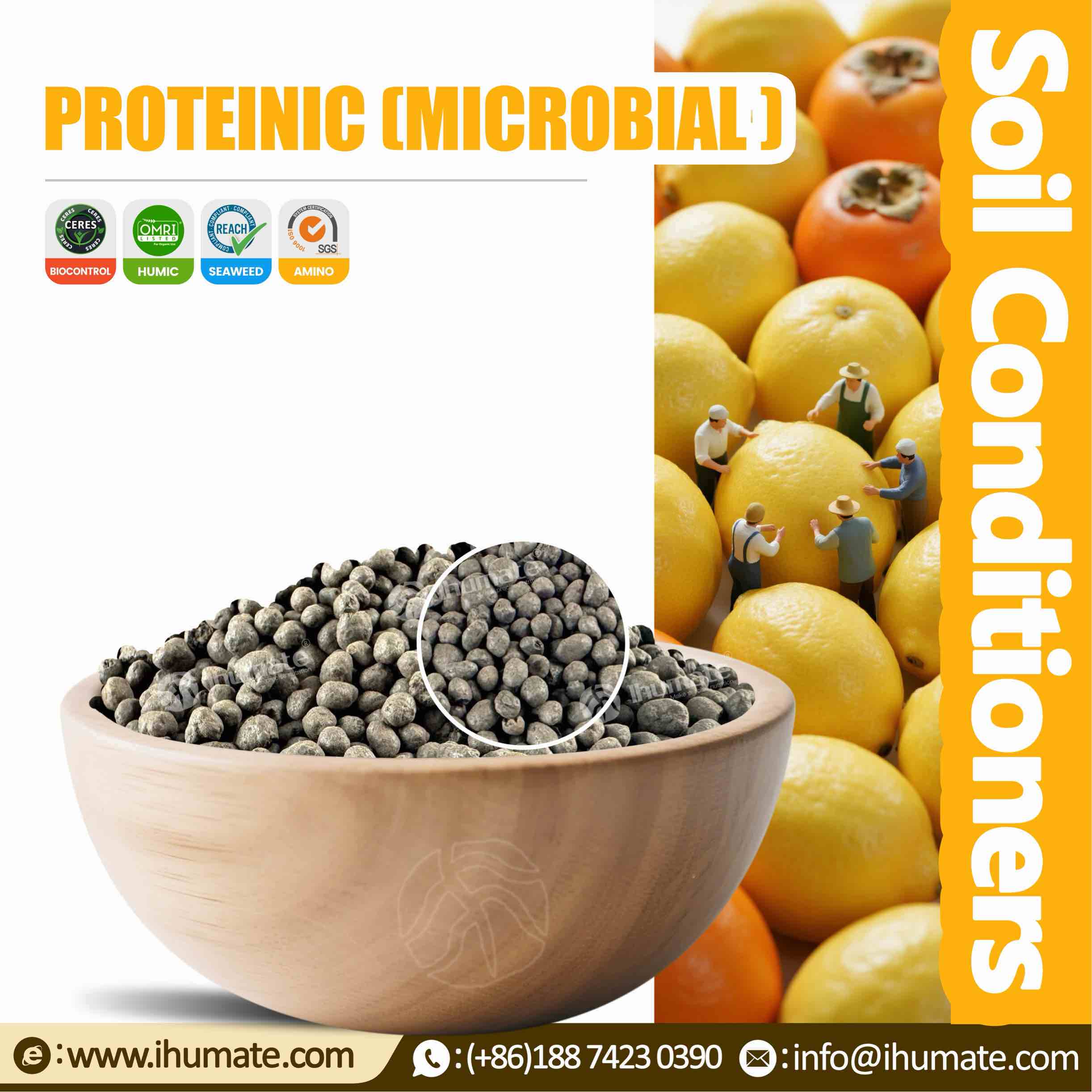 Bowl display of Ihumate Proteinic spherical granules, containing salt-tolerant bacillus, effectively improving root environment in saline-alkali soil