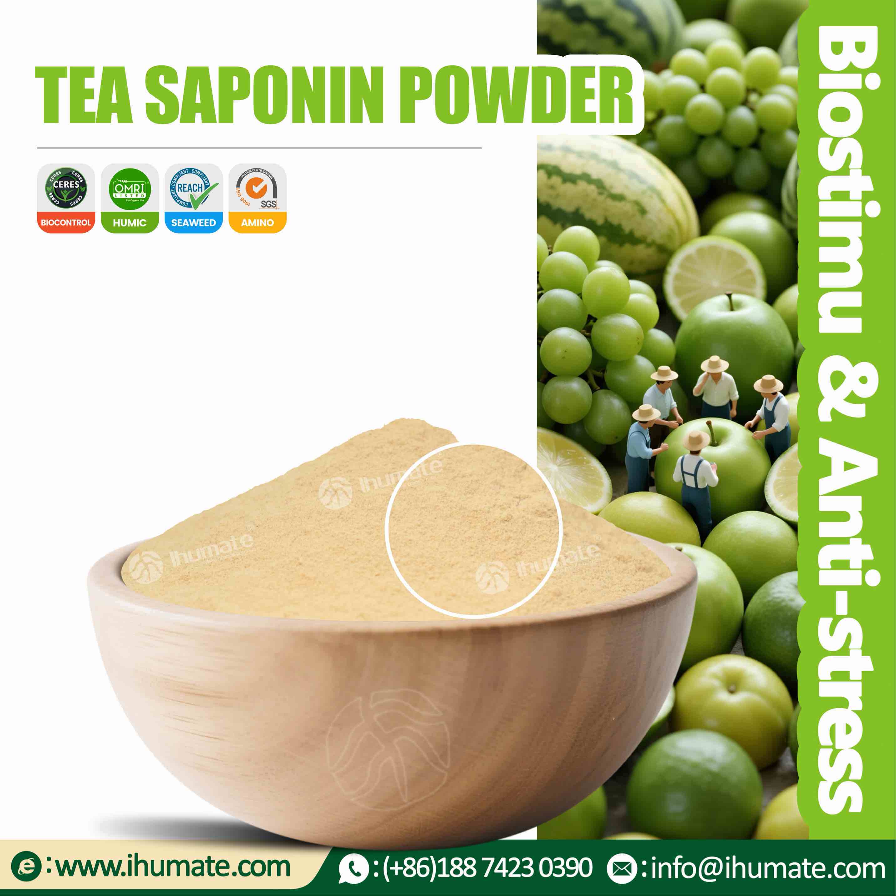 Bowl display of Ihumate tea saponin, showing fine yellow powder texture, high content and strong activity