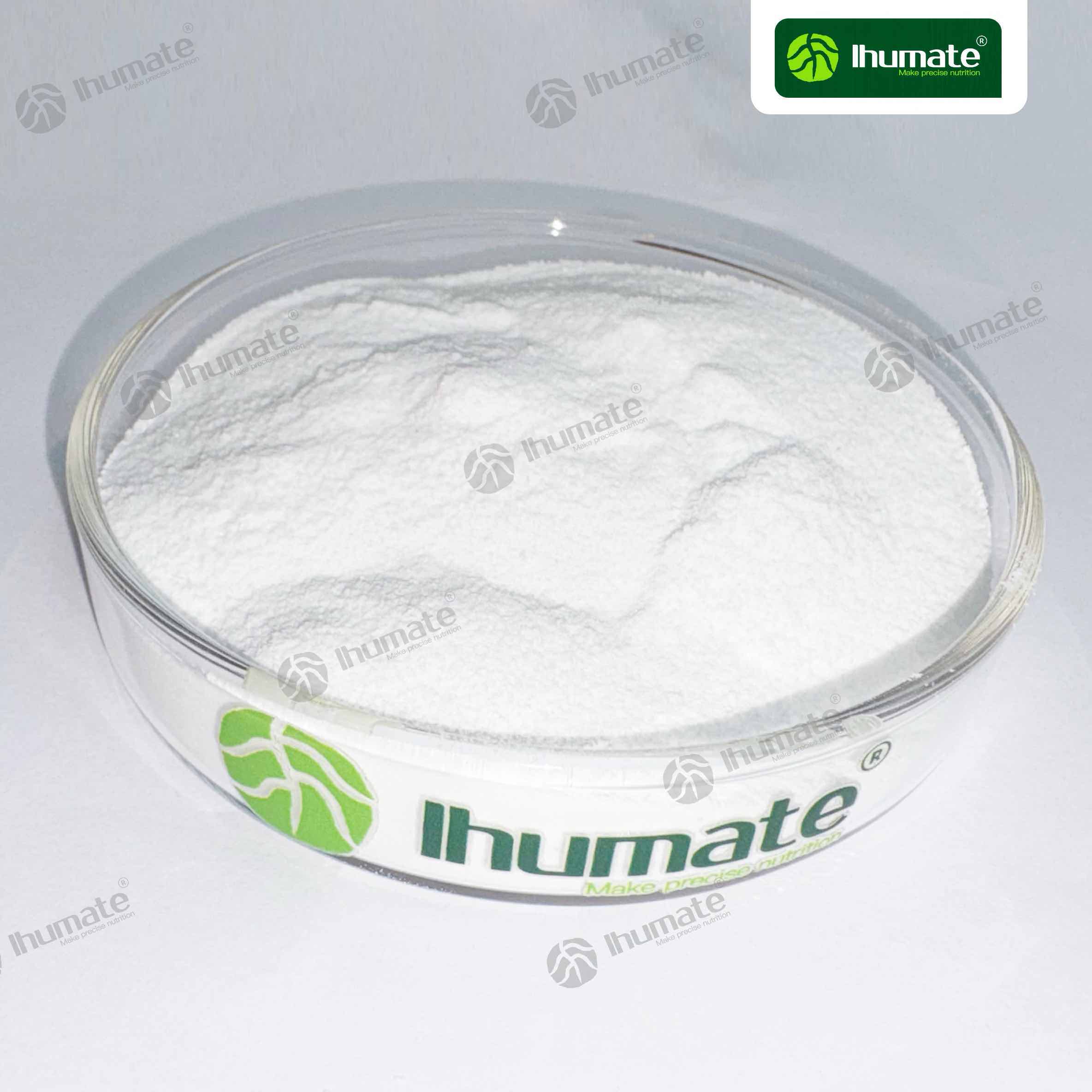 Ihumate Zinc Glycinate powder petri dish close-up showing fine and uniform appearance