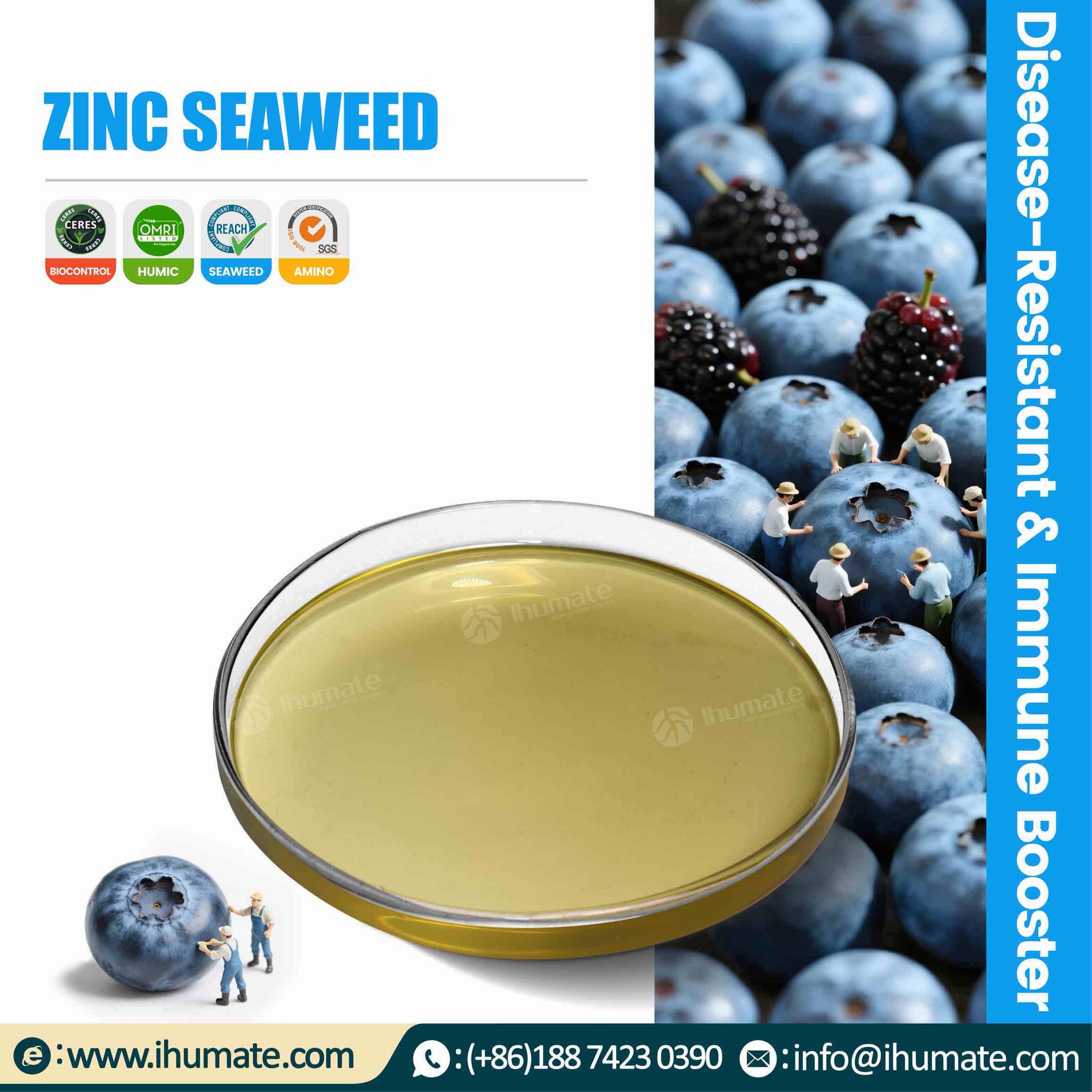 Ihumate ZINC SEAWEED liquid fertilizer promotional image, showing core advantages of alginic acid and chelated zinc