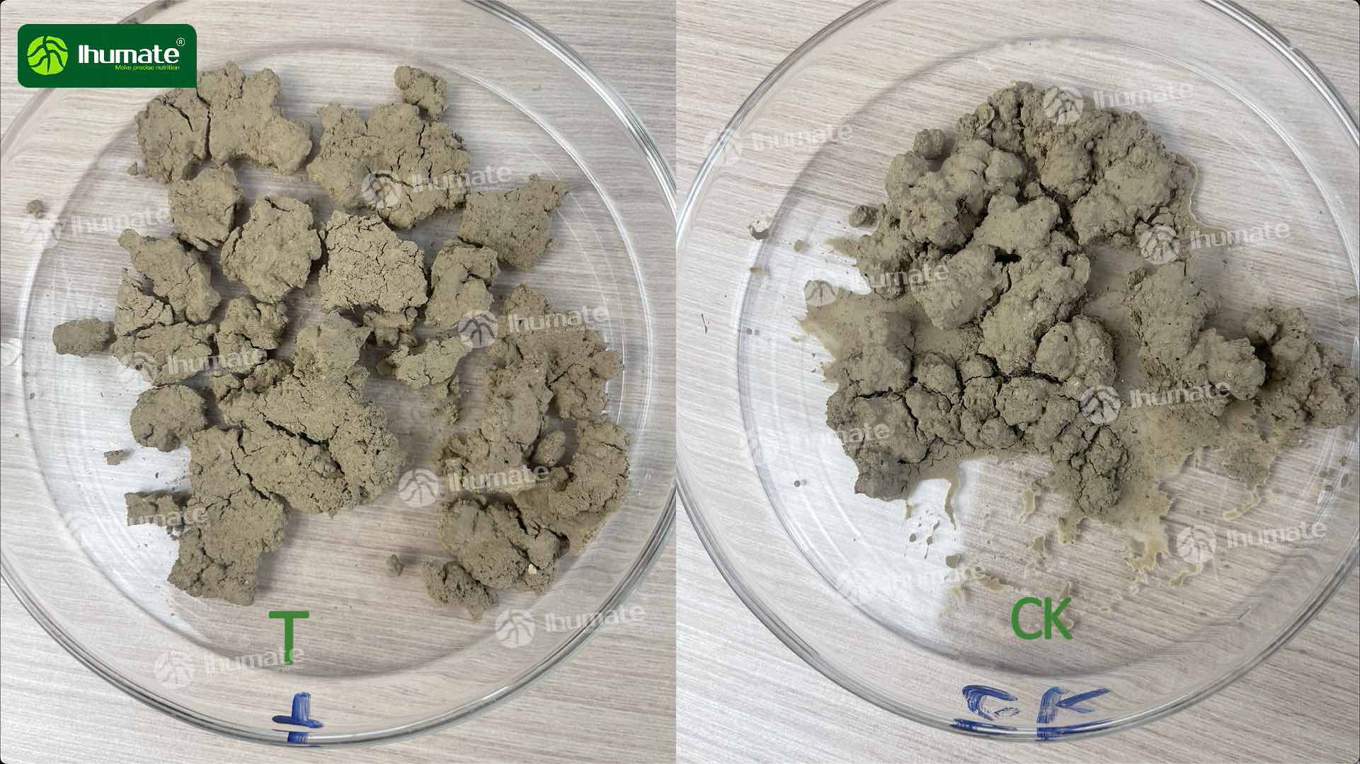 Fix Hard Soil Instantly Ihumate Soil Loosening Agent